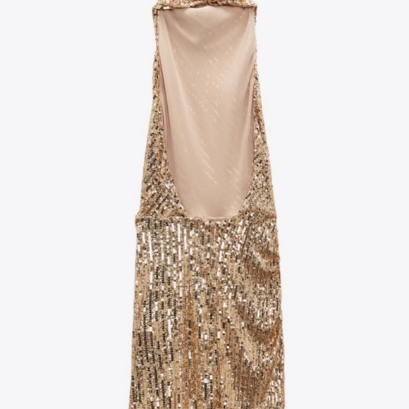 Zara Sequin Dress - Picture 4 of 5